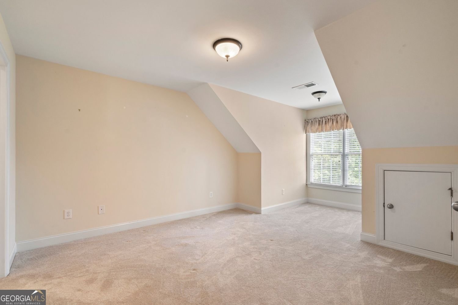 203 Crescent Moon Way Canton - 24
