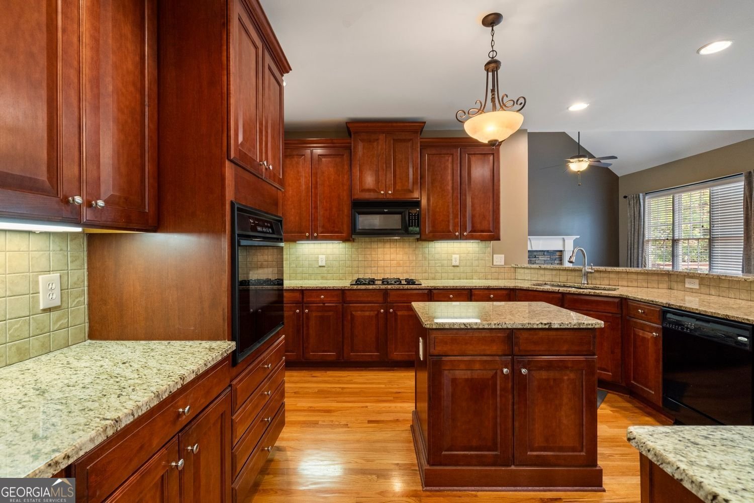 203 Crescent Moon Way Canton - 3