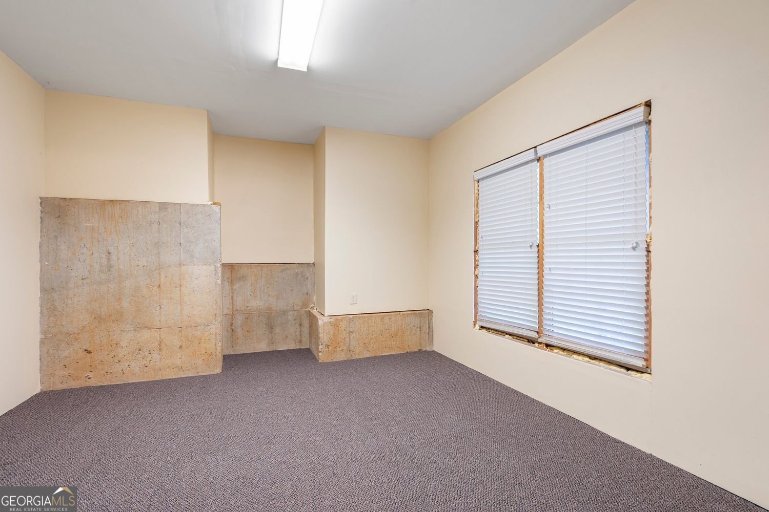 203 Crescent Moon Way Canton - 39