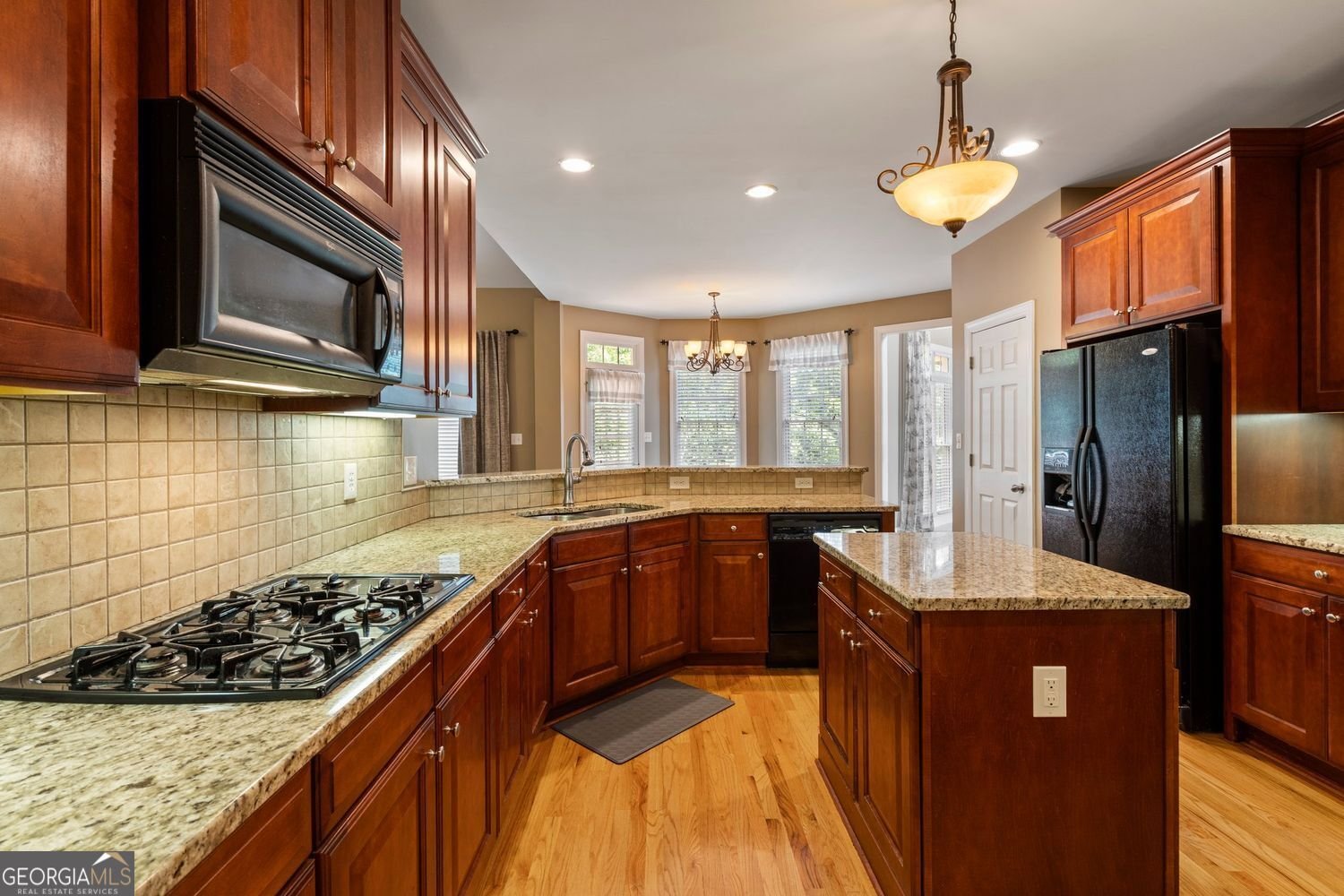 203 Crescent Moon Way Canton - 4