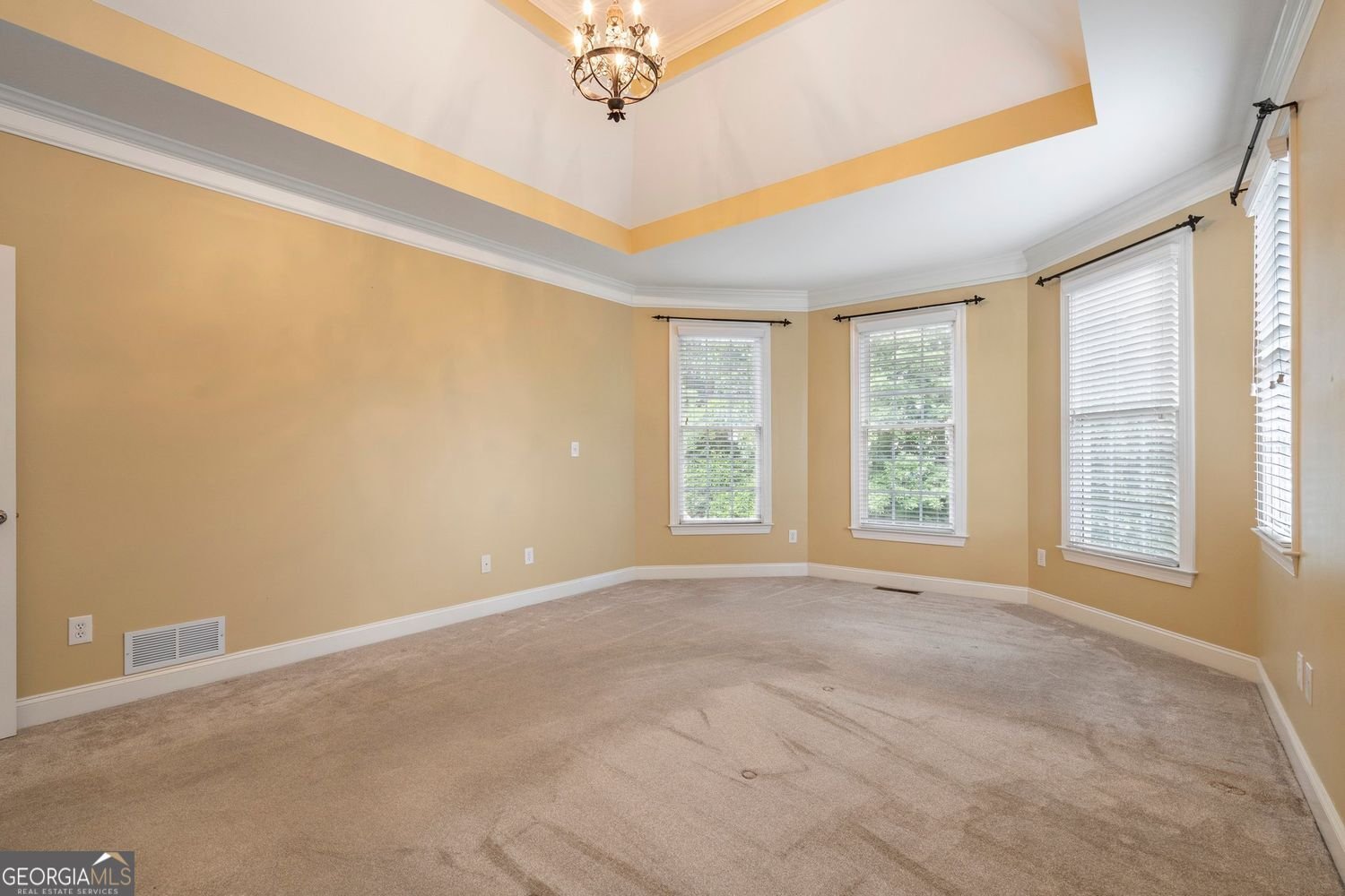 203 Crescent Moon Way Canton - 9