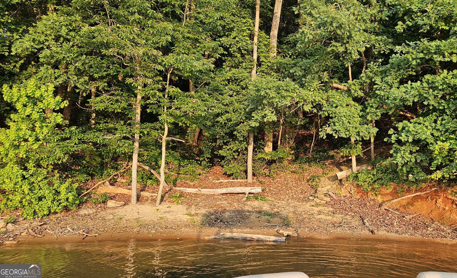 242 Pristine Cove Hartwell - 28