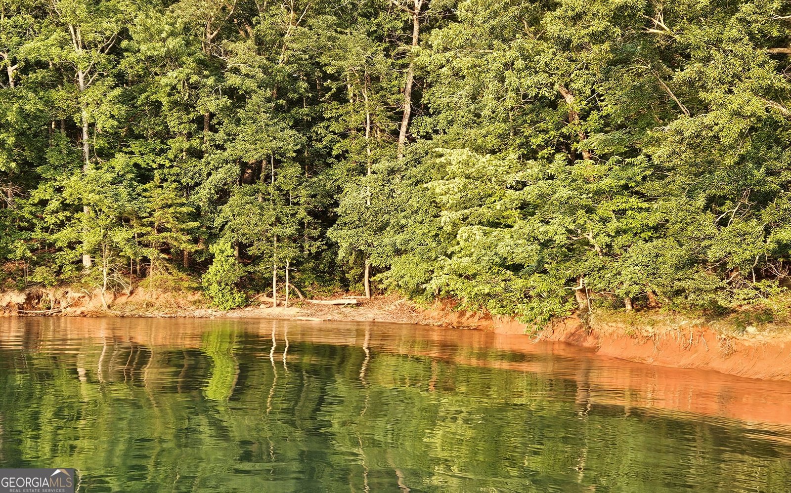 242 Pristine Cove Hartwell - 29