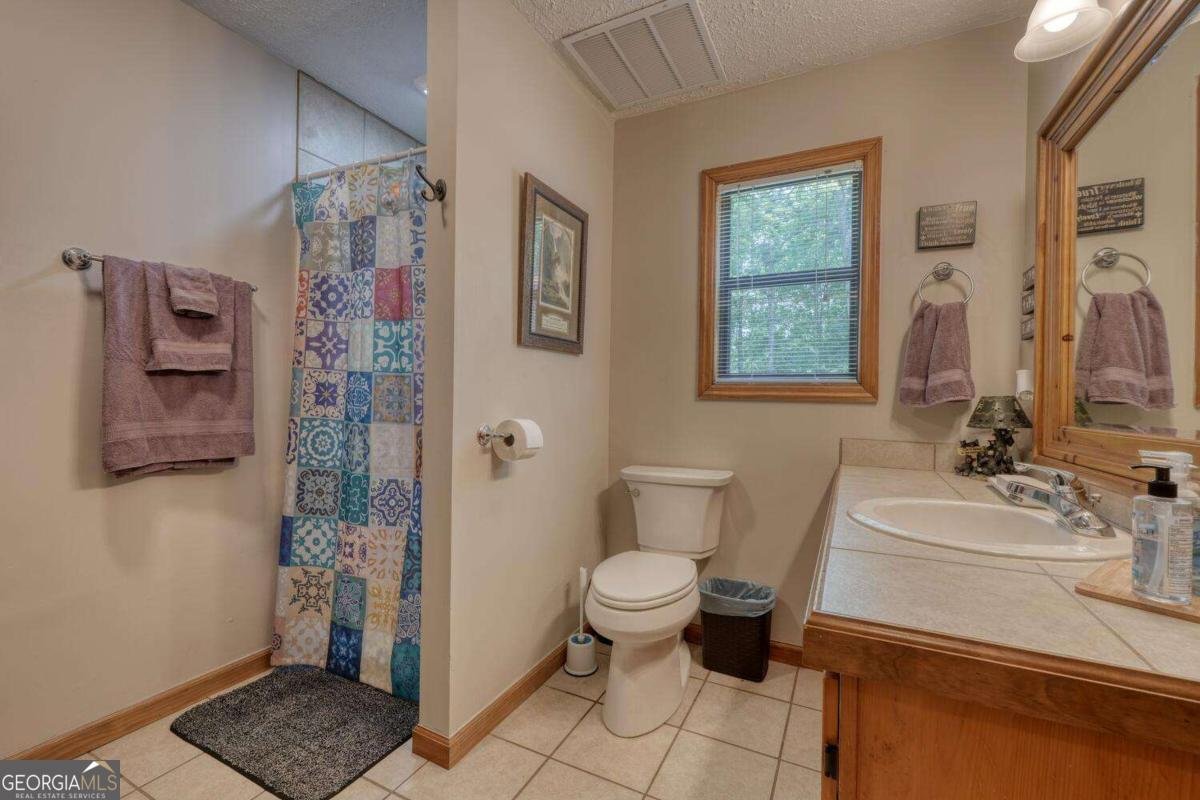 92 Holly Cove Circle Blairsville - 28