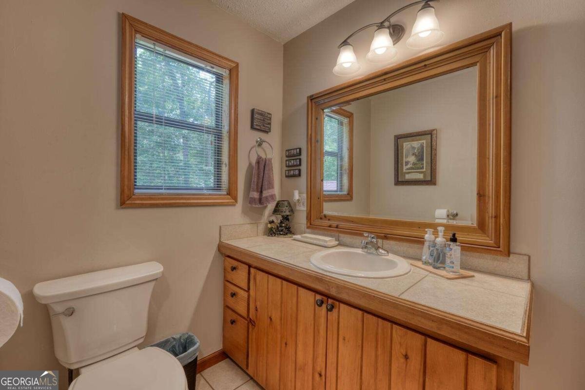 92 Holly Cove Circle Blairsville - 29