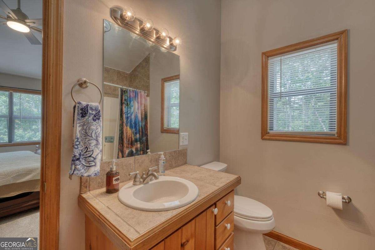 92 Holly Cove Circle Blairsville - 38