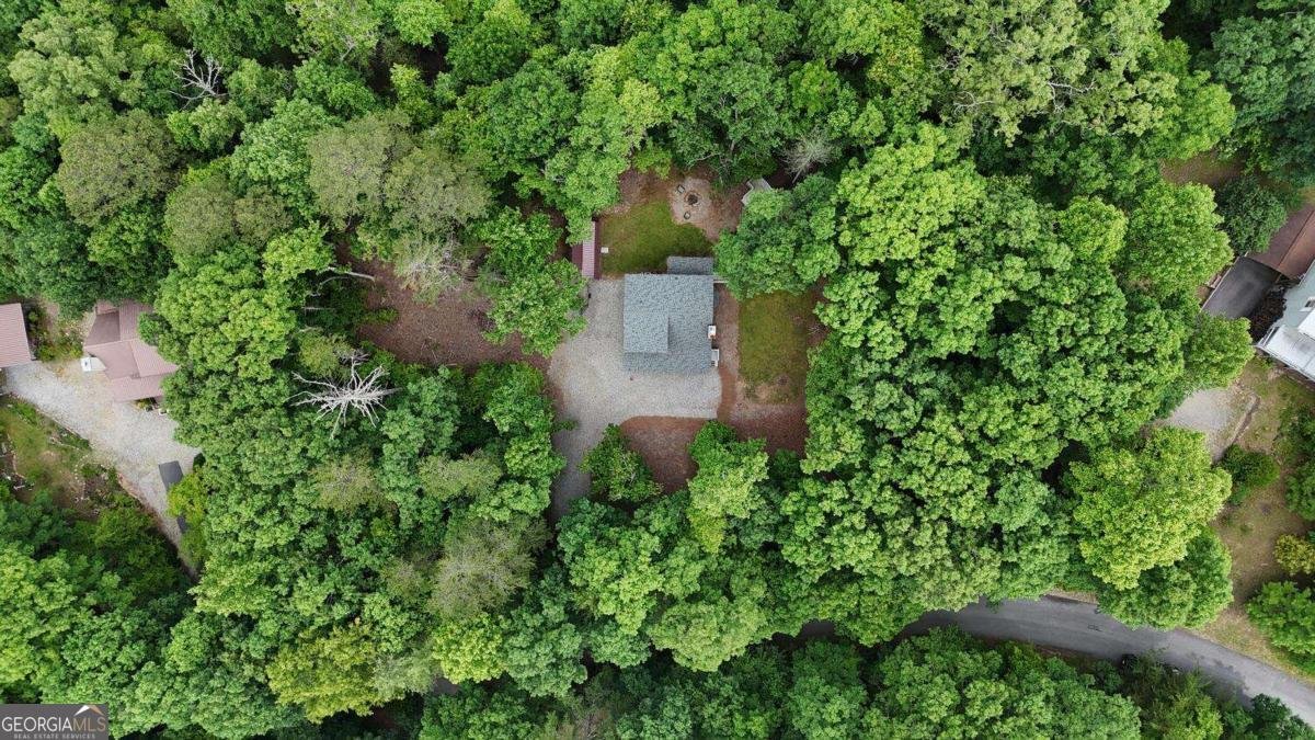 92 Holly Cove Circle Blairsville - 39