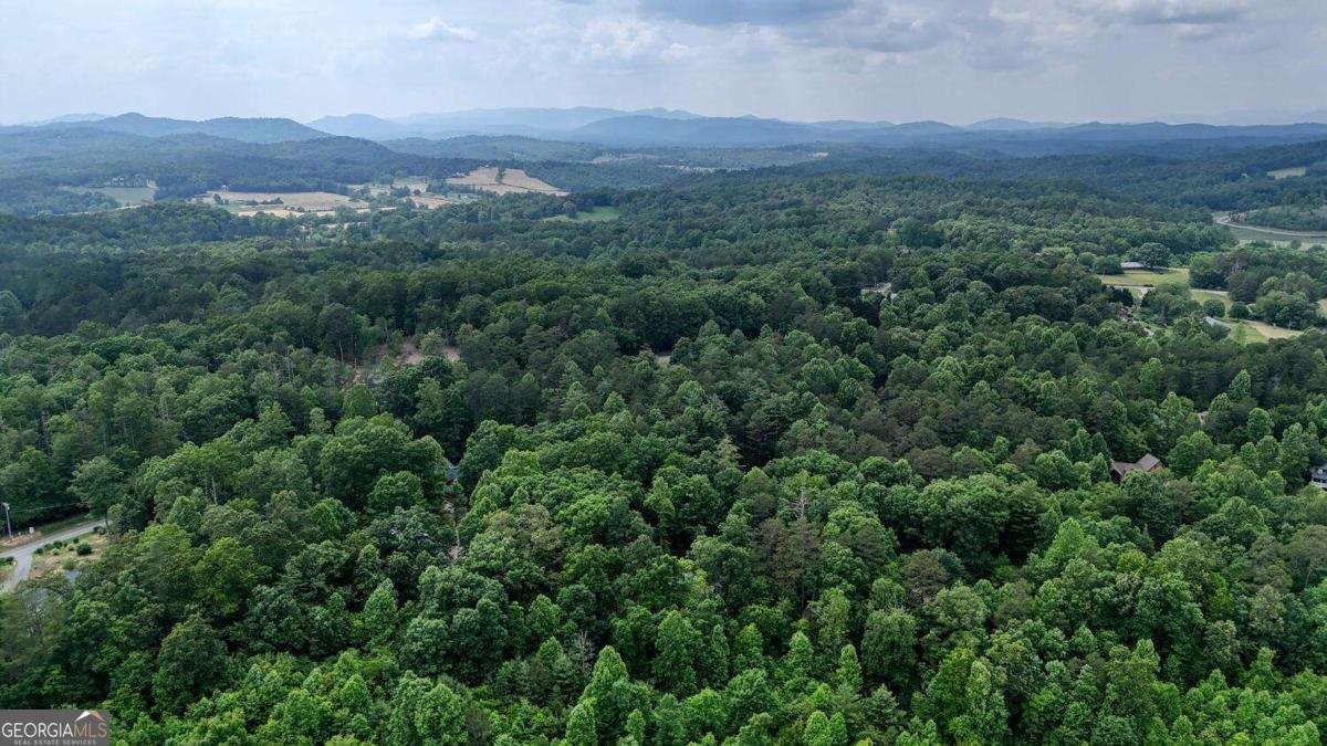 92 Holly Cove Circle Blairsville - 40