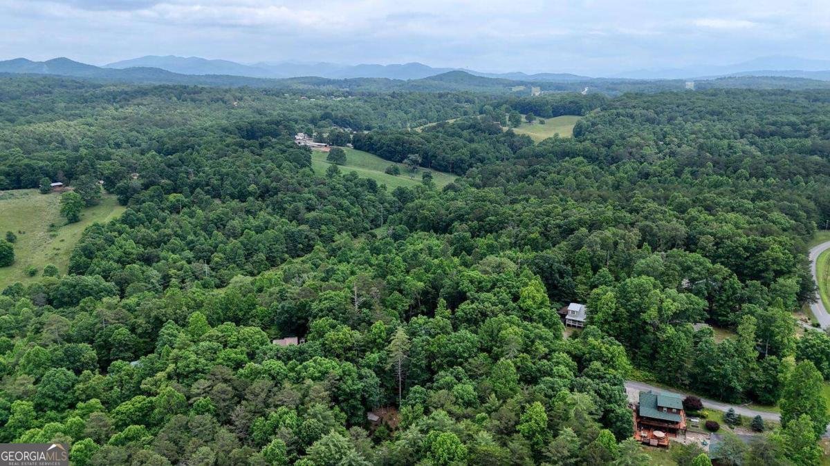 92 Holly Cove Circle Blairsville - 41