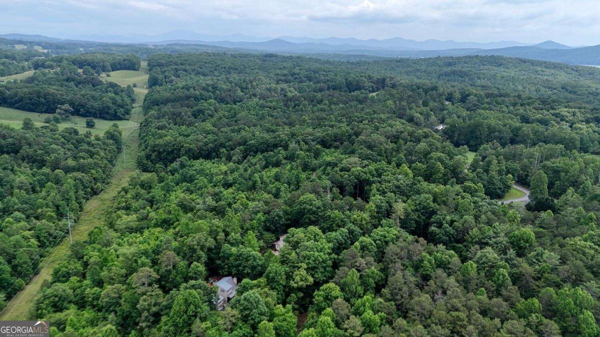 92 Holly Cove Circle Blairsville - 42