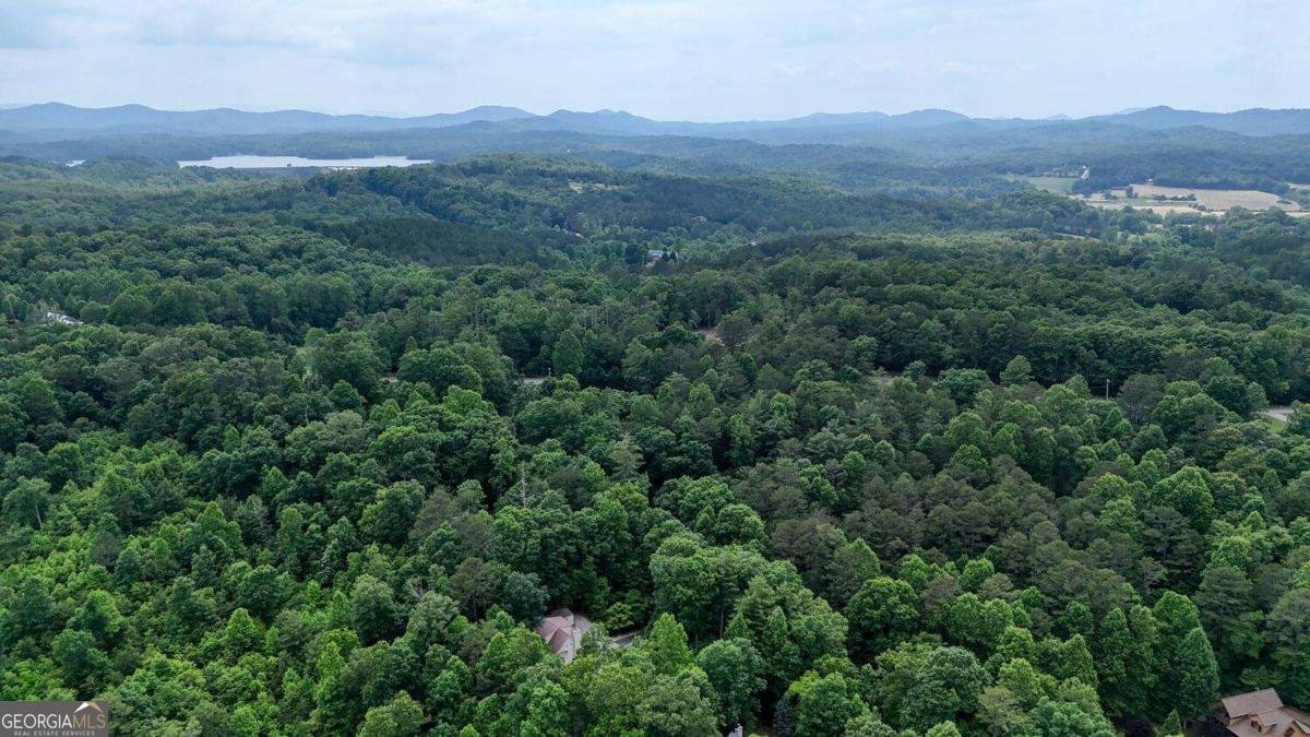 92 Holly Cove Circle Blairsville - 43