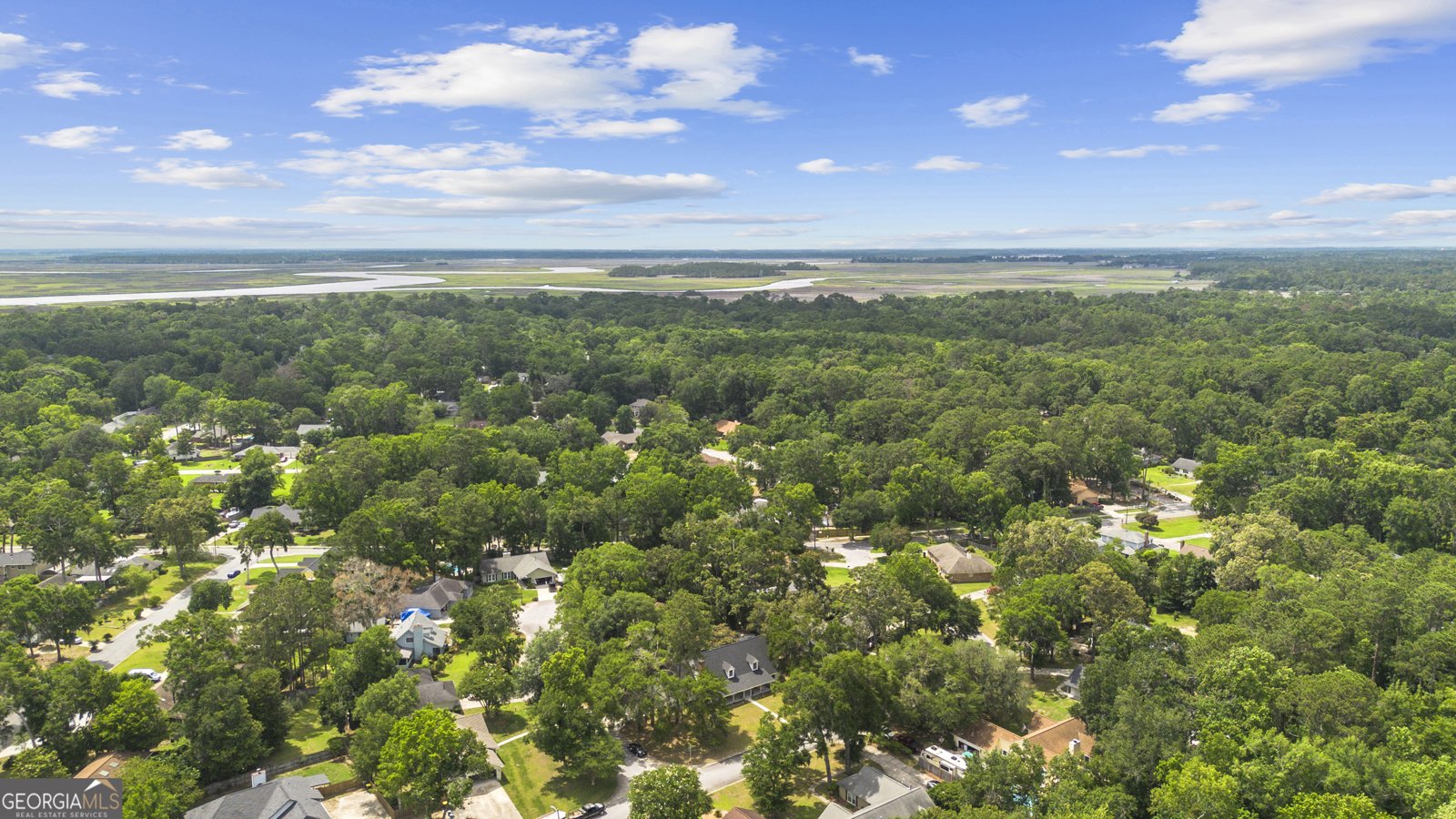 107 Rose Dhu Way Savannah - 50