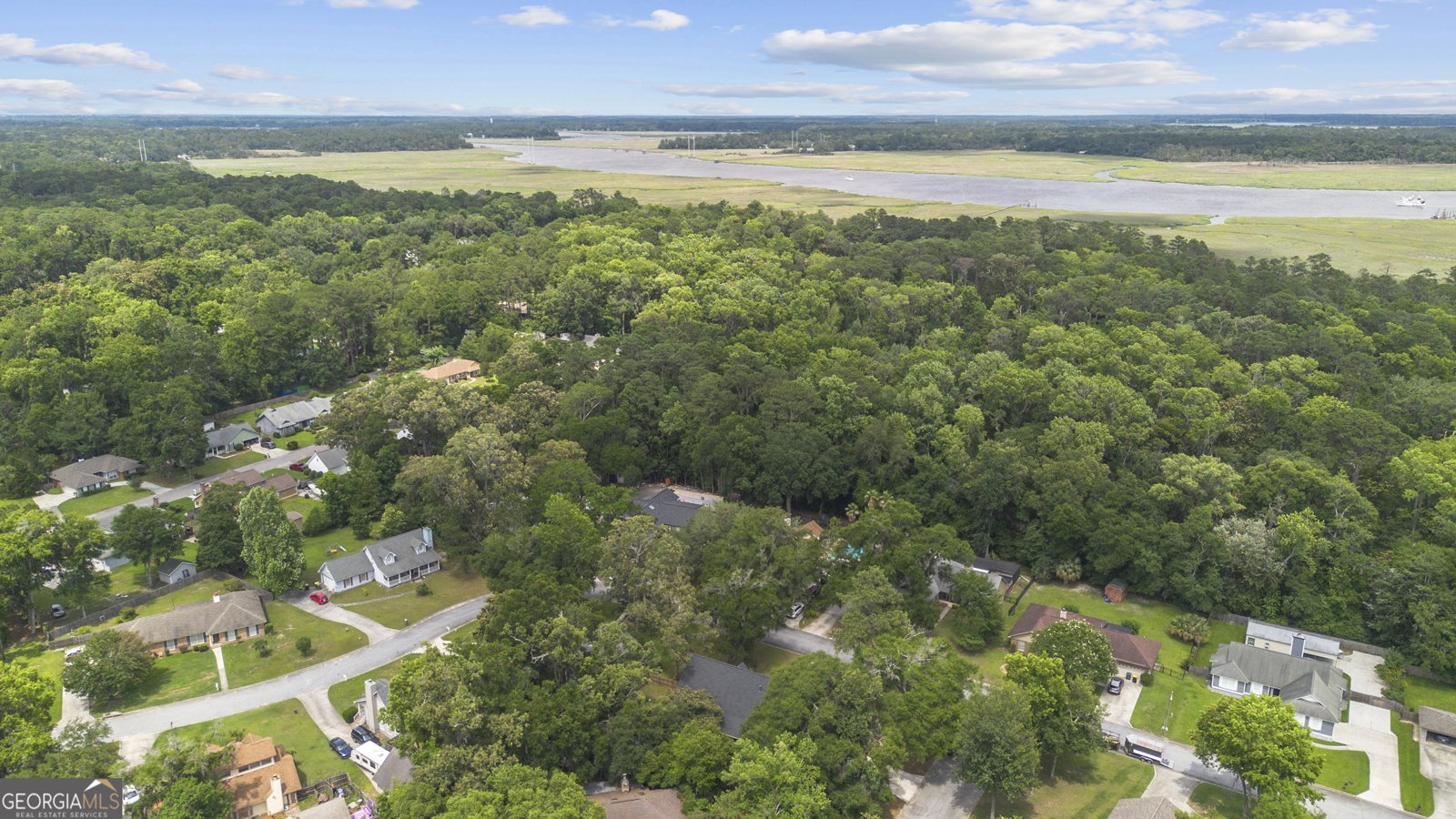 107 Rose Dhu Way Savannah - 53