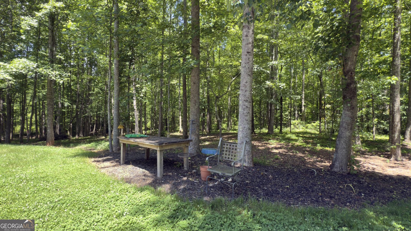 170 Crooked Tree Drive Dawsonville - 59