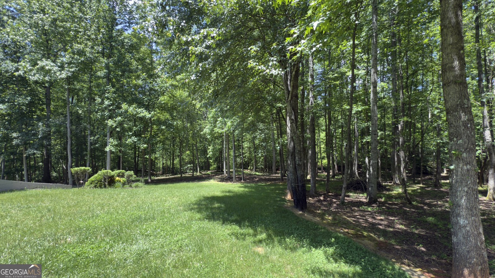 170 Crooked Tree Drive Dawsonville - 67