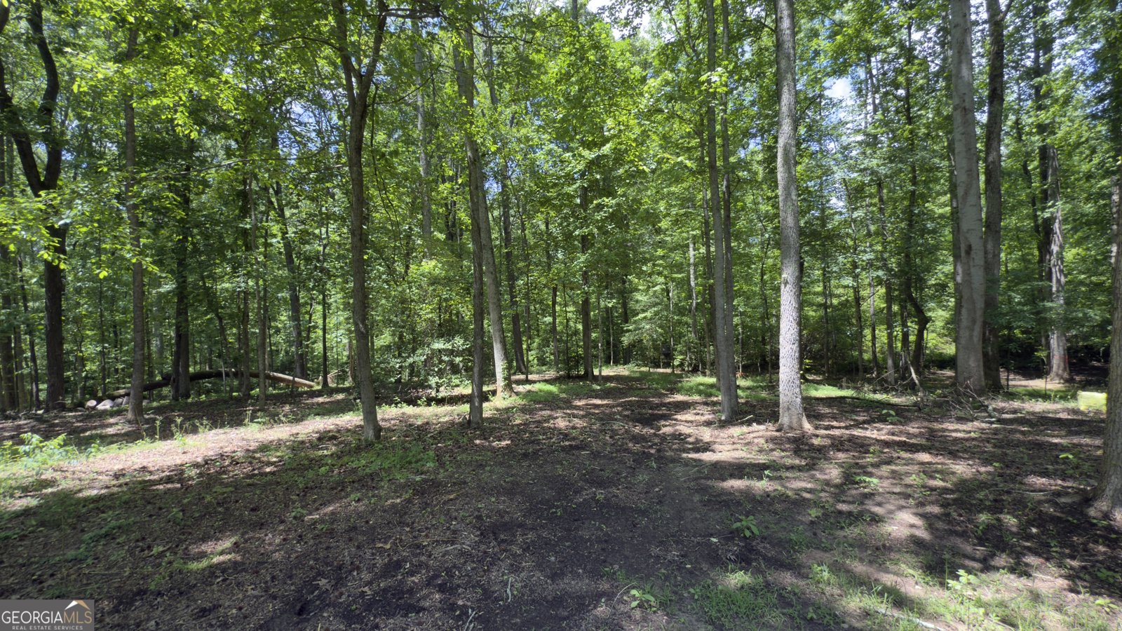 170 Crooked Tree Drive Dawsonville - 69