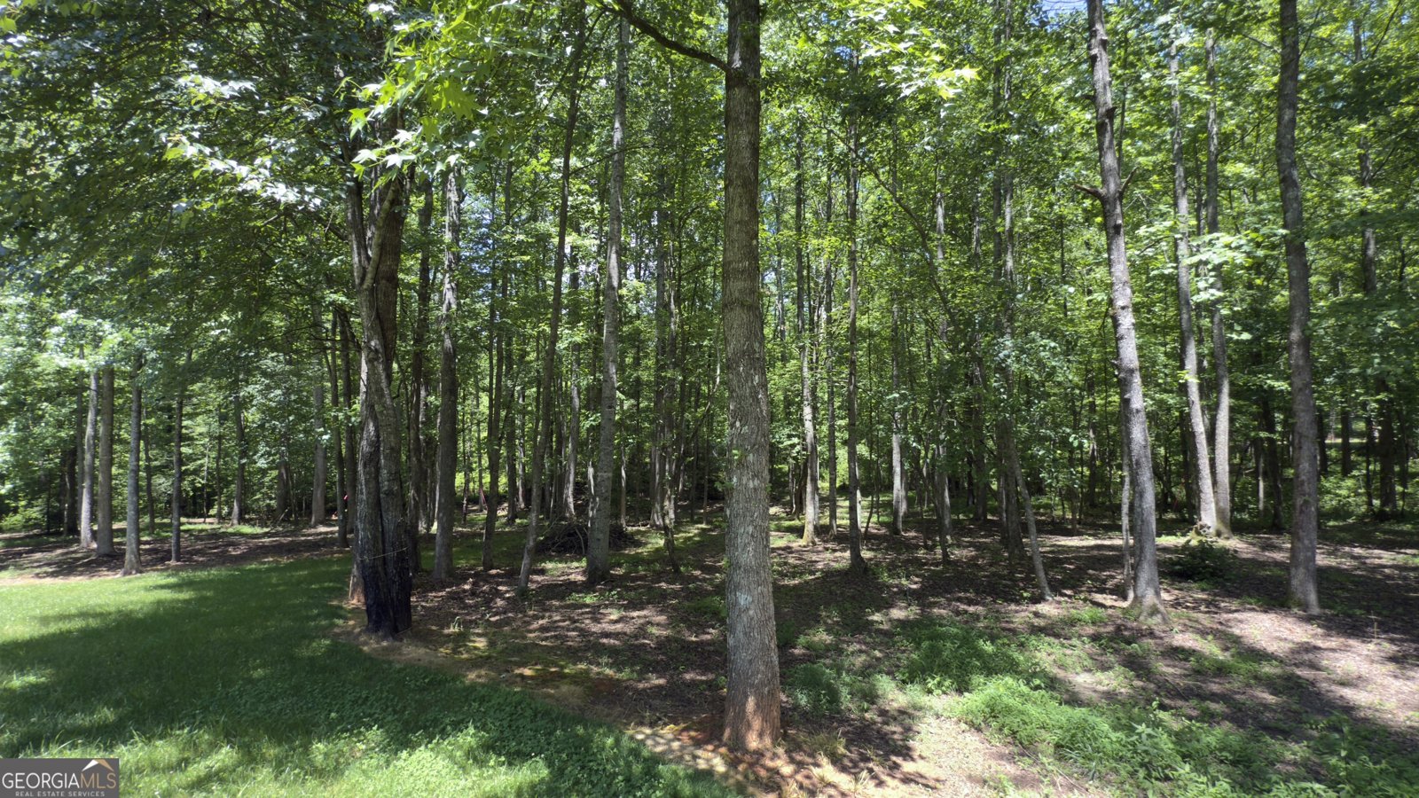 170 Crooked Tree Drive Dawsonville - 70