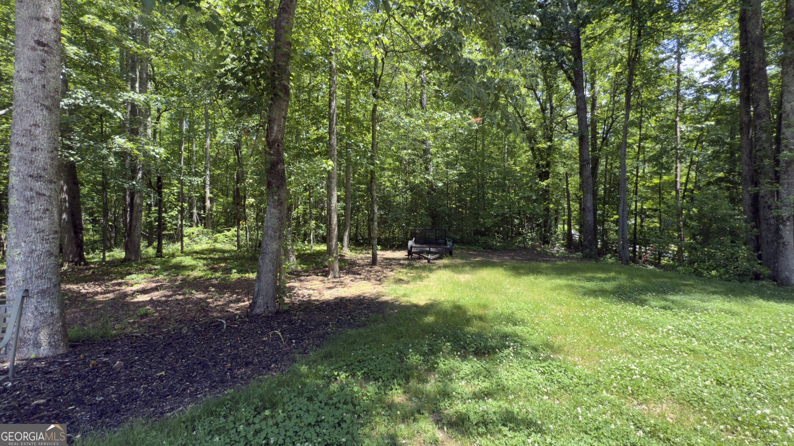 170 Crooked Tree Drive Dawsonville - 71