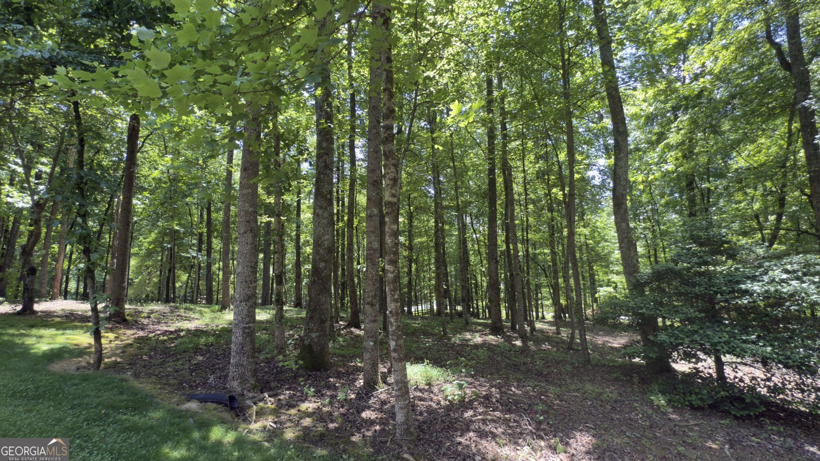 170 Crooked Tree Drive Dawsonville - 72