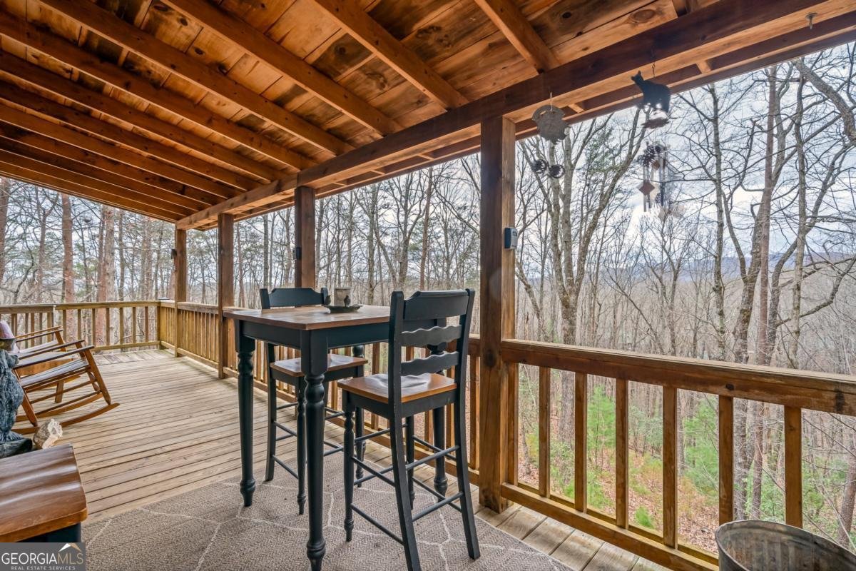 1350 Cherry Lake Drive Blue Ridge - 12