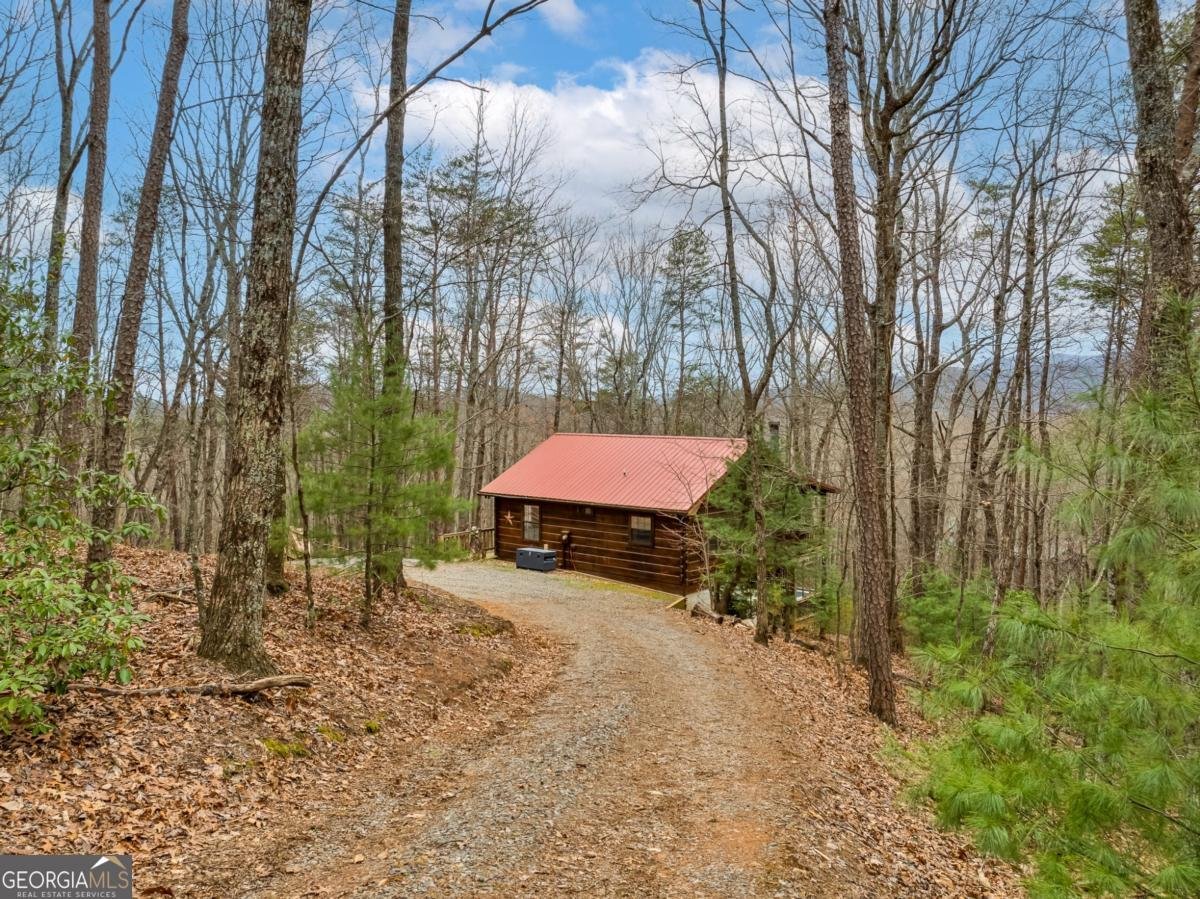 1350 Cherry Lake Drive Blue Ridge - 3
