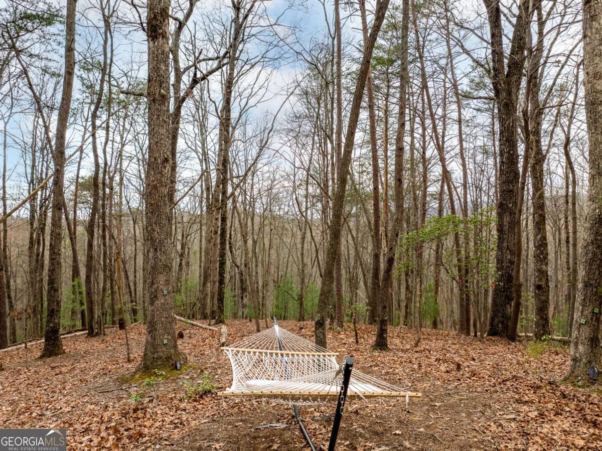 1350 Cherry Lake Drive Blue Ridge - 33