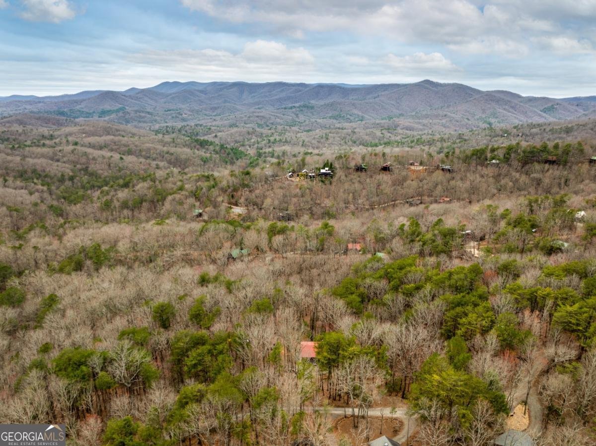 1350 Cherry Lake Drive Blue Ridge - 34