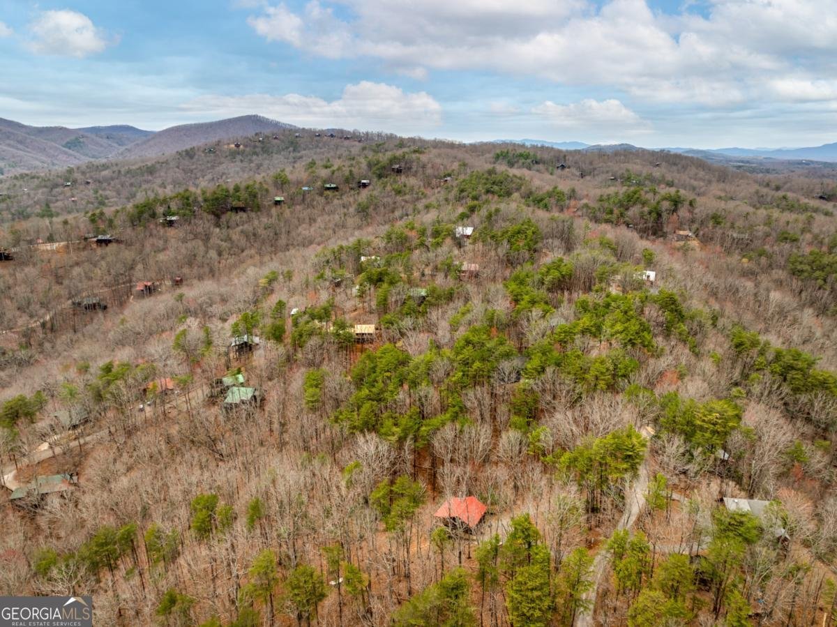 1350 Cherry Lake Drive Blue Ridge - 35