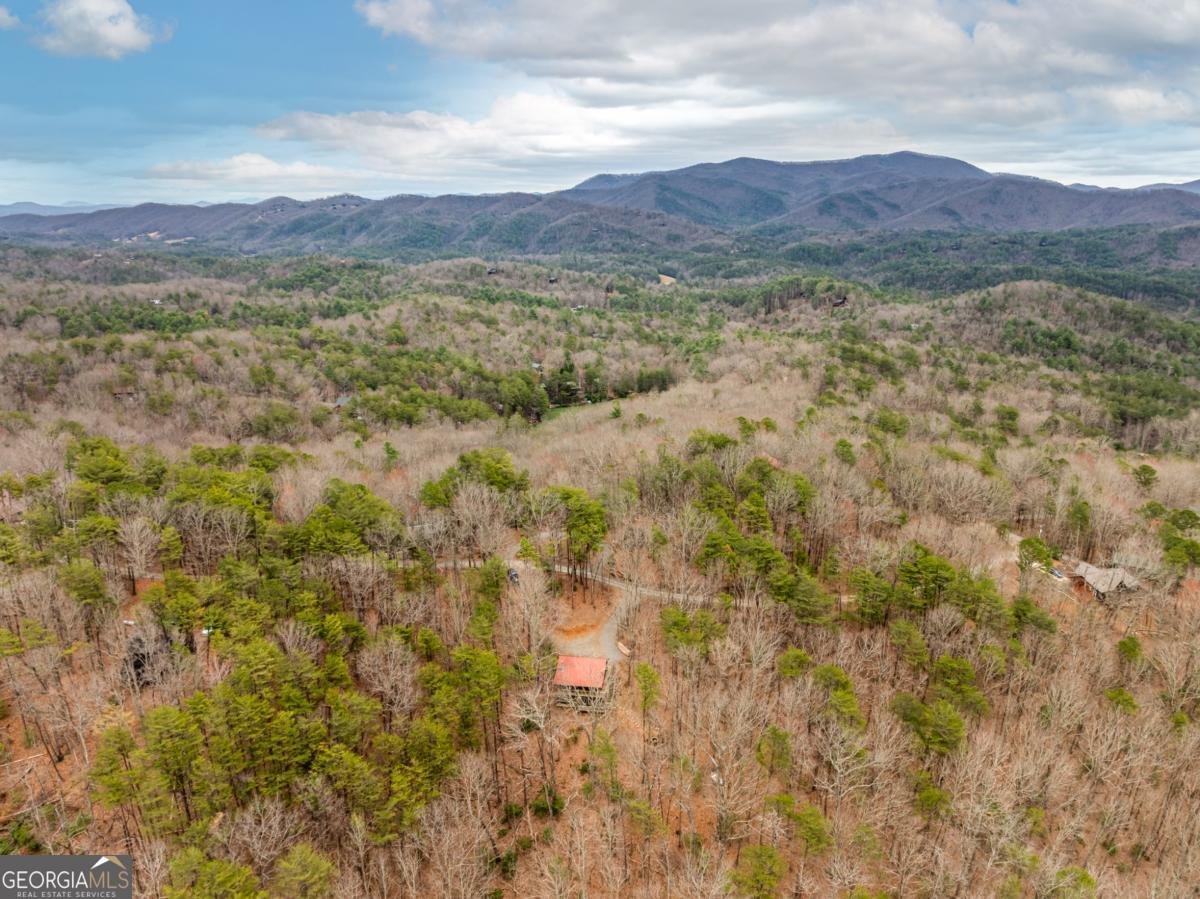 1350 Cherry Lake Drive Blue Ridge - 36