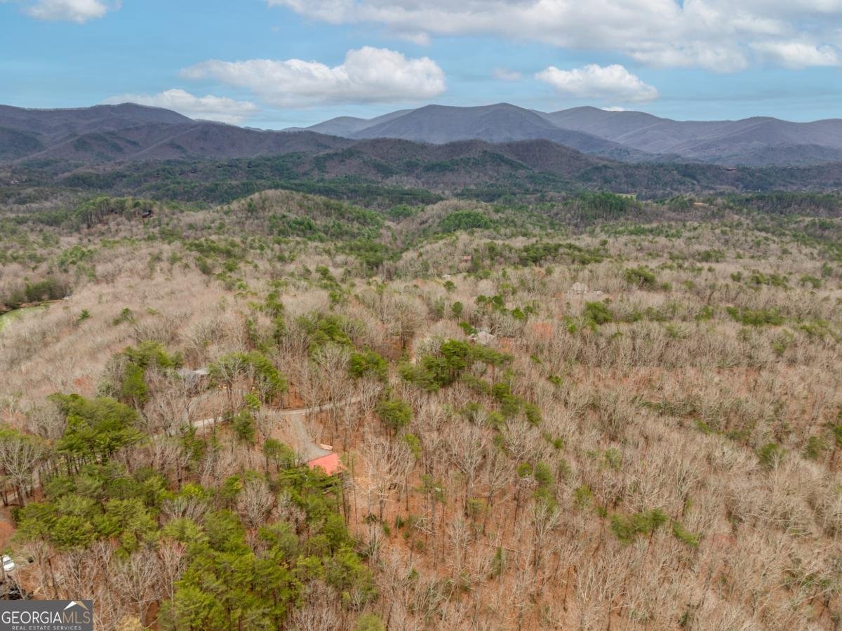 1350 Cherry Lake Drive Blue Ridge - 37