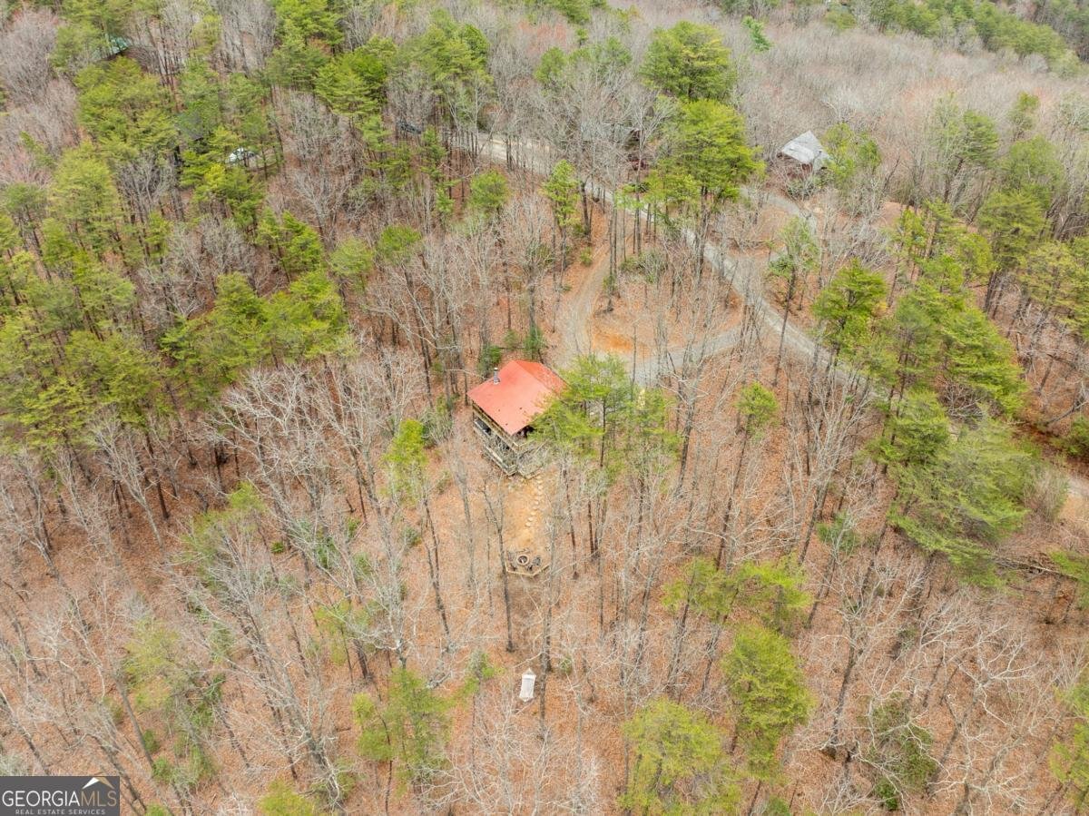 1350 Cherry Lake Drive Blue Ridge - 38
