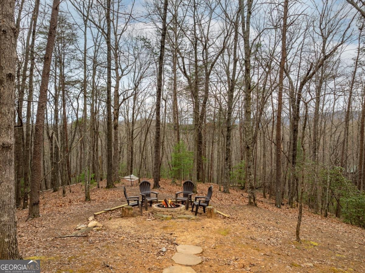 1350 Cherry Lake Drive Blue Ridge - 6