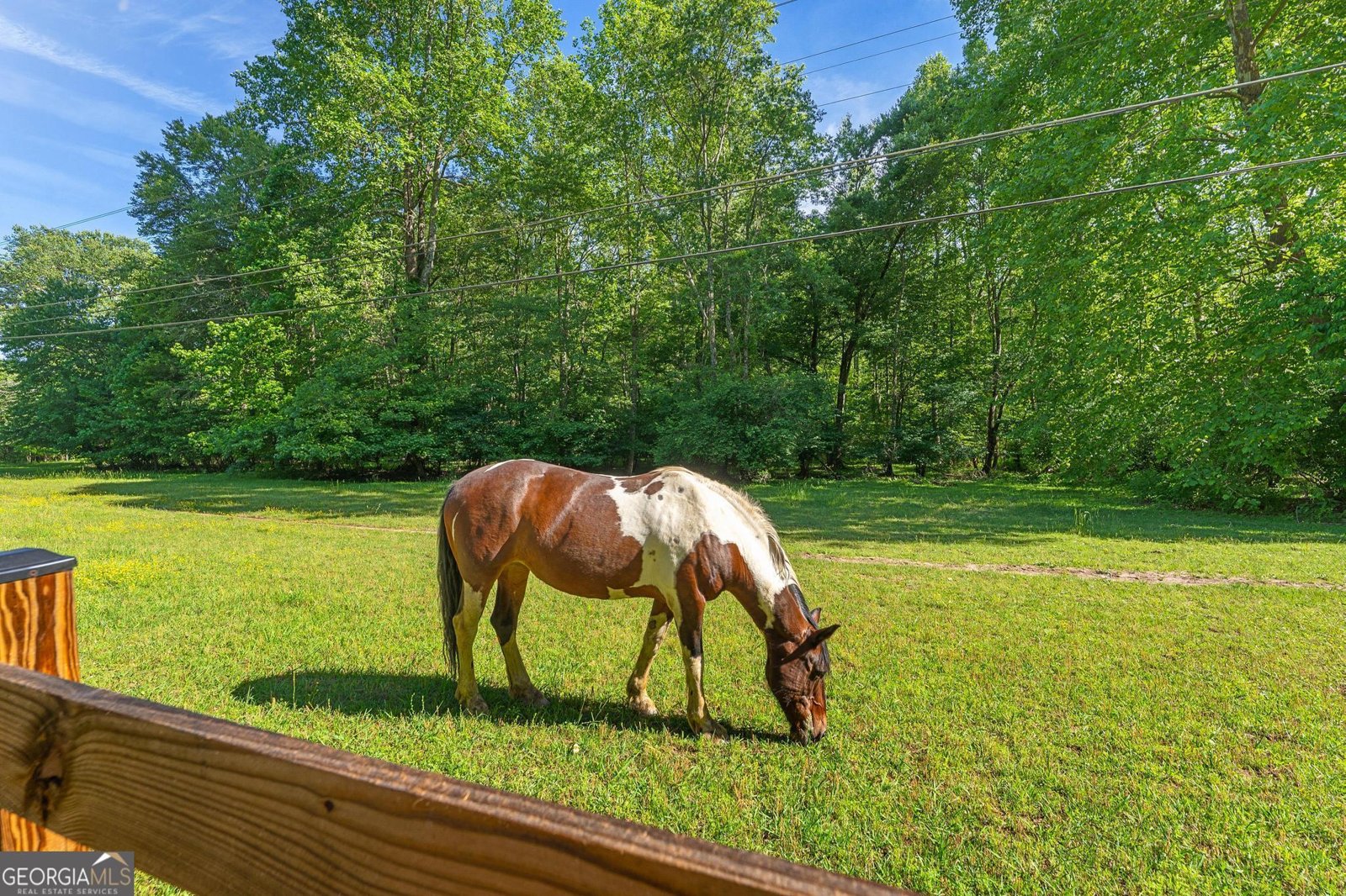367 Woodbrier Sautee Nacoochee - 36