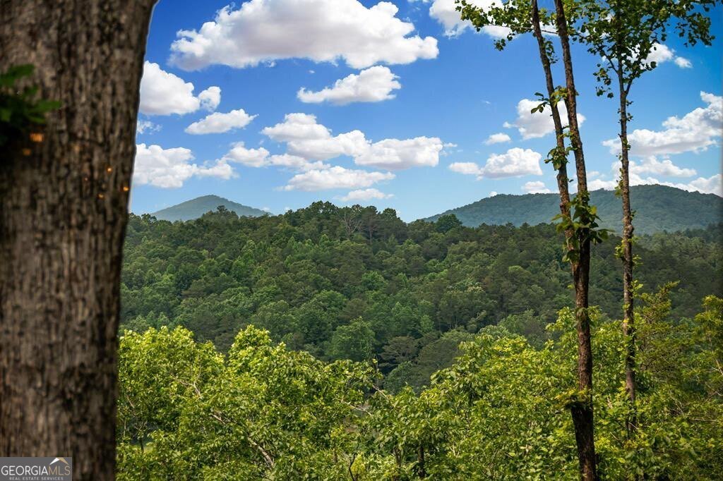 290 River Escape Drive Ellijay - 16