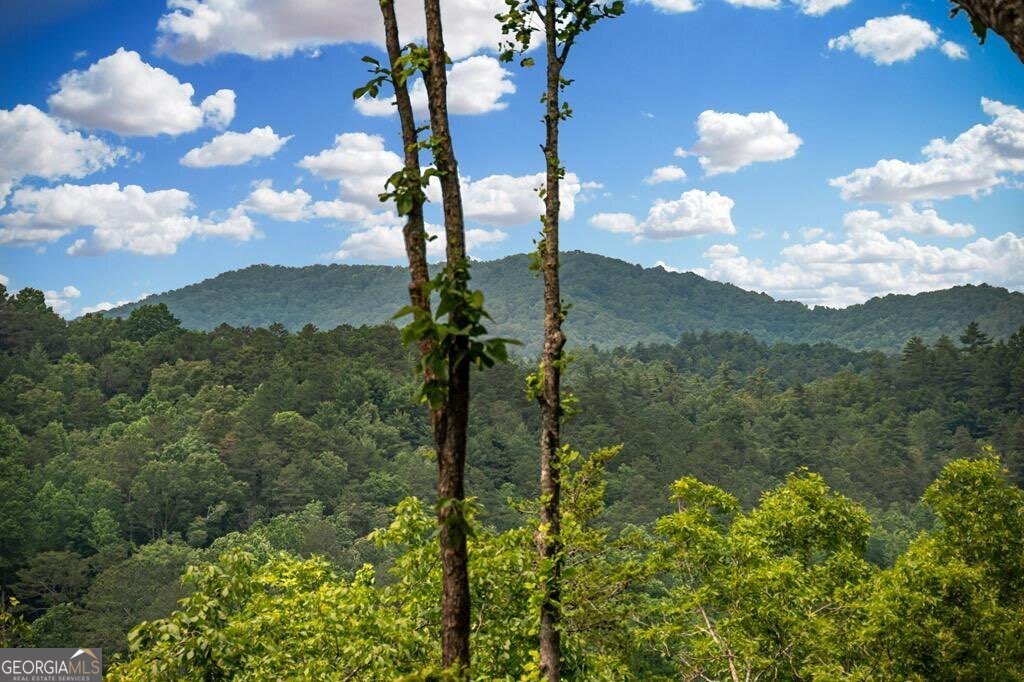 290 River Escape Drive Ellijay - 2