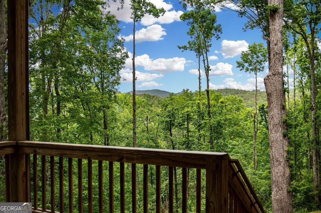 290 River Escape Drive Ellijay - 58
