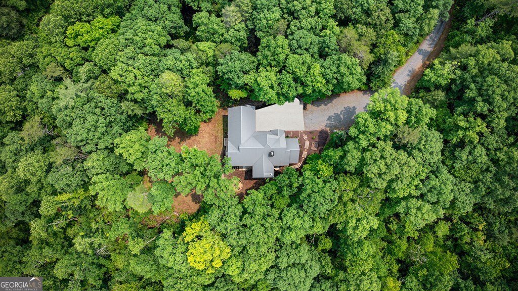 290 River Escape Drive Ellijay - 67