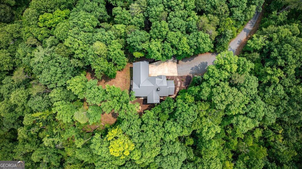 290 River Escape Drive Ellijay - 68