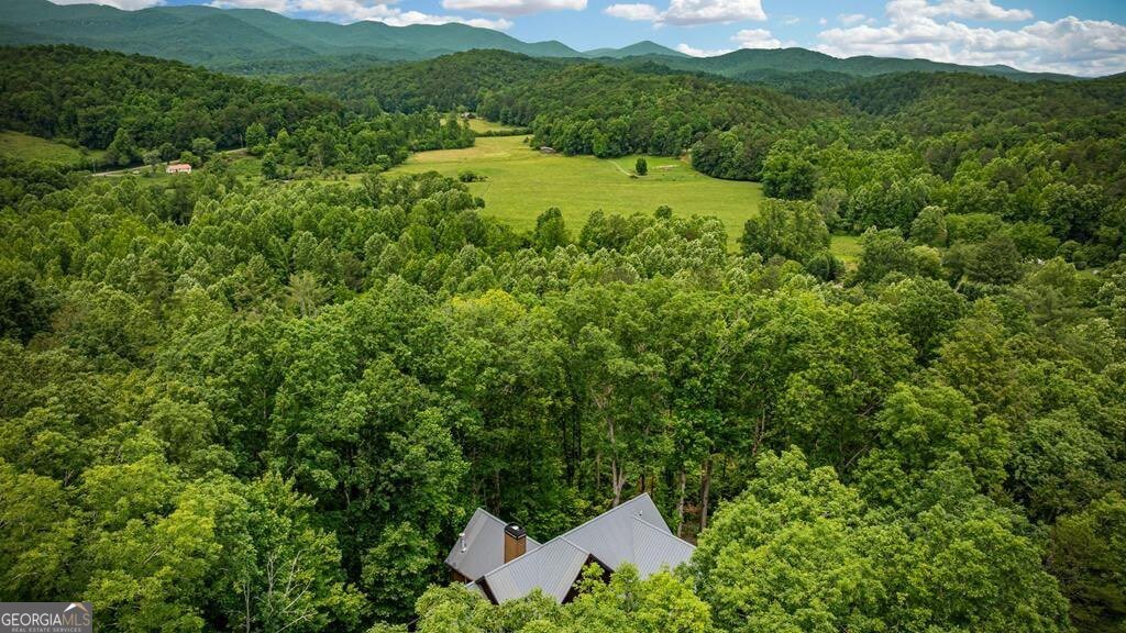 290 River Escape Drive Ellijay - 69