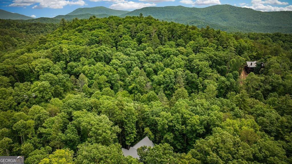 290 River Escape Drive Ellijay - 70