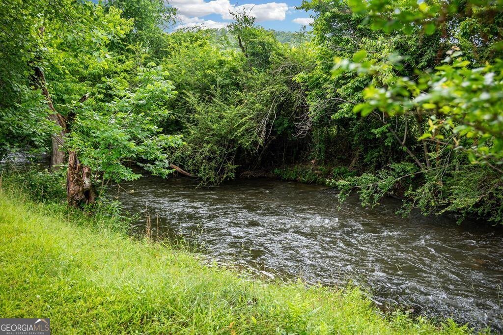 290 River Escape Drive Ellijay - 73