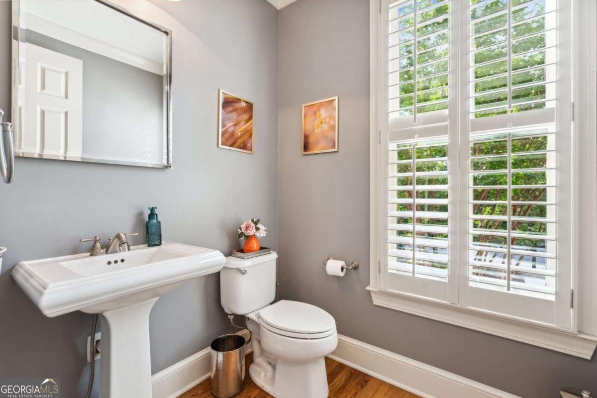 11259 Calypso Drive Alpharetta - 14