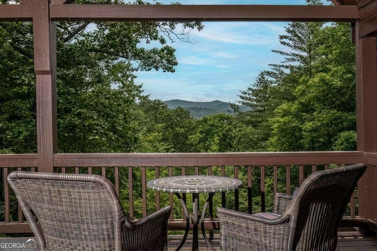 573 Hiawatha Trail Blue Ridge - 10