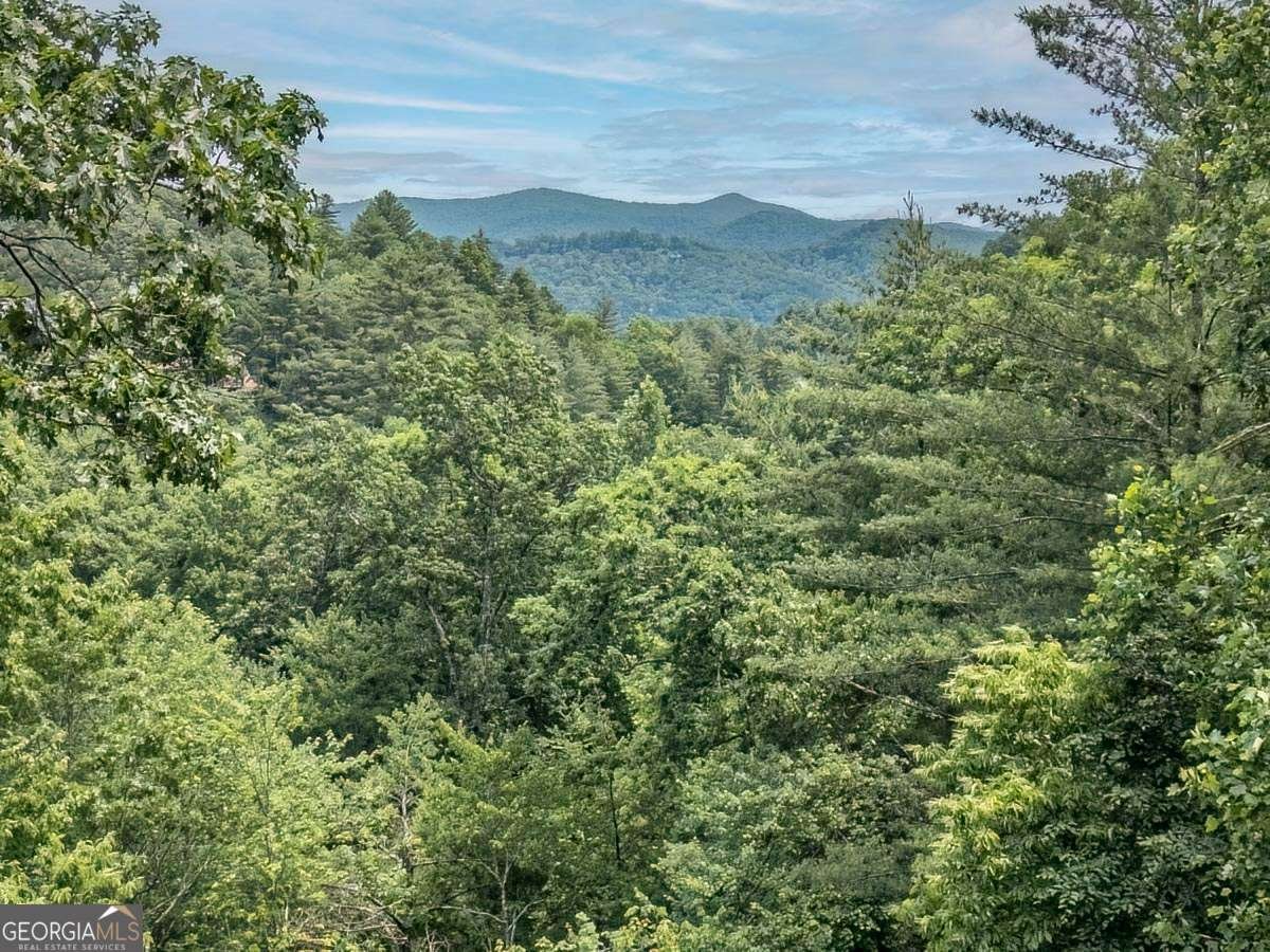 573 Hiawatha Trail Blue Ridge - 11