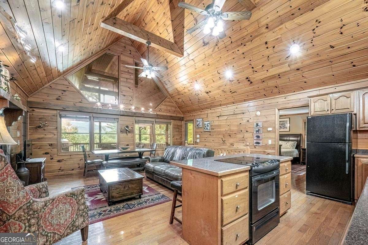 573 Hiawatha Trail Blue Ridge - 13