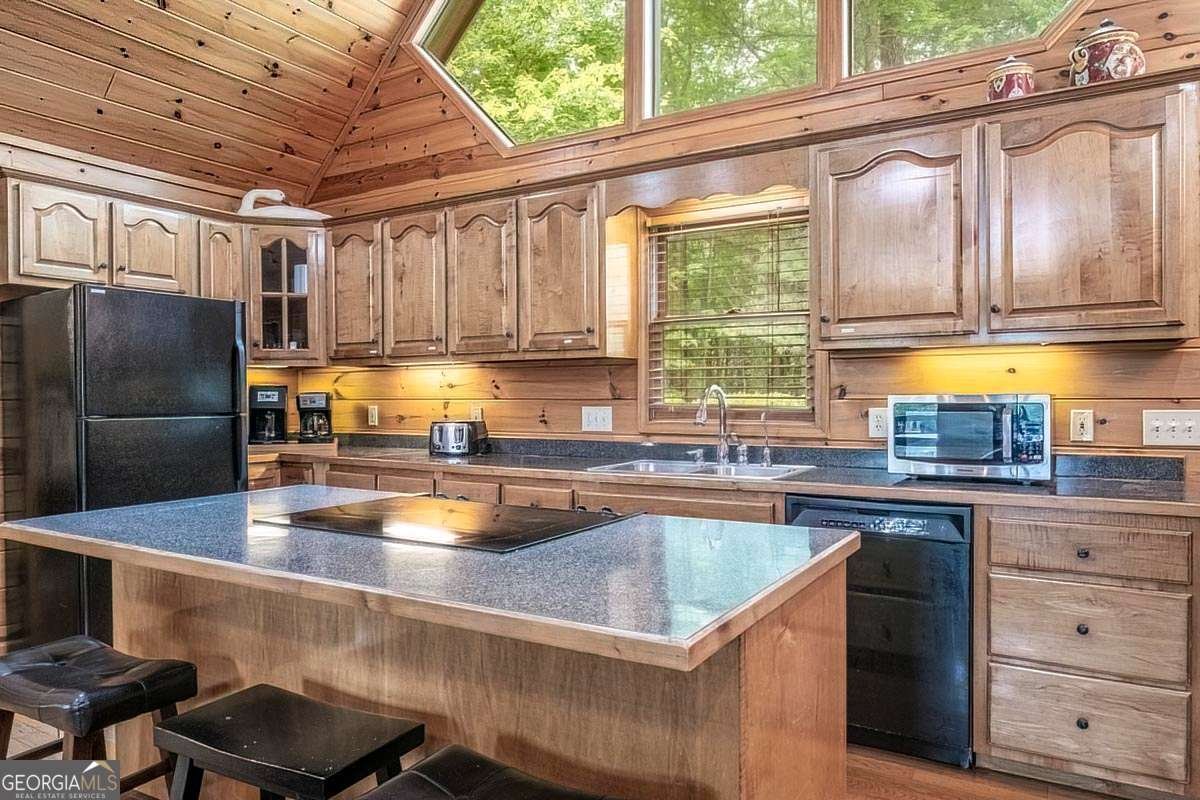 573 Hiawatha Trail Blue Ridge - 19