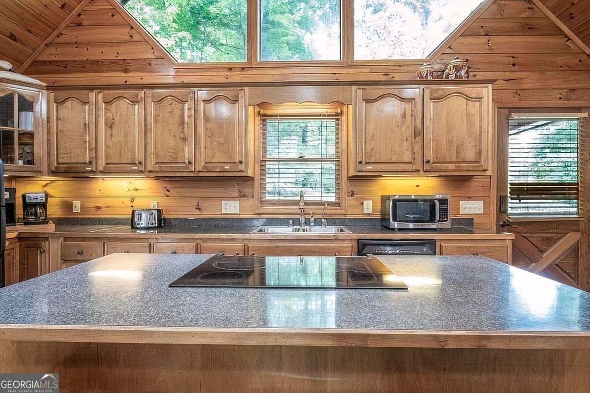 573 Hiawatha Trail Blue Ridge - 20