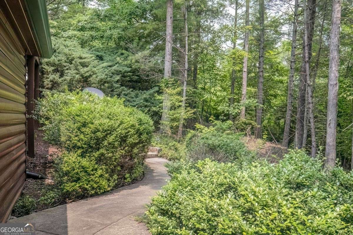 573 Hiawatha Trail Blue Ridge - 30