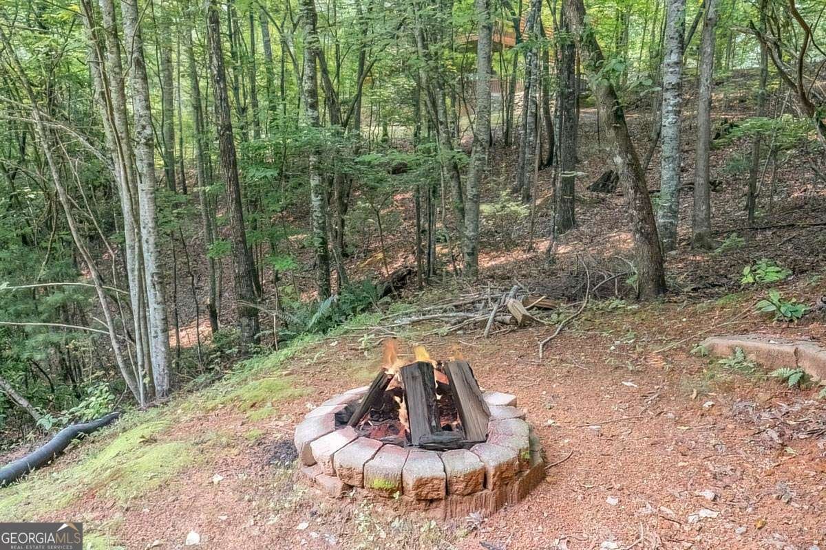 573 Hiawatha Trail Blue Ridge - 31