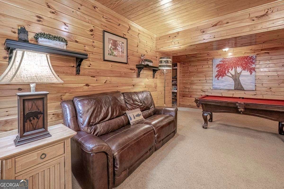 573 Hiawatha Trail Blue Ridge - 34